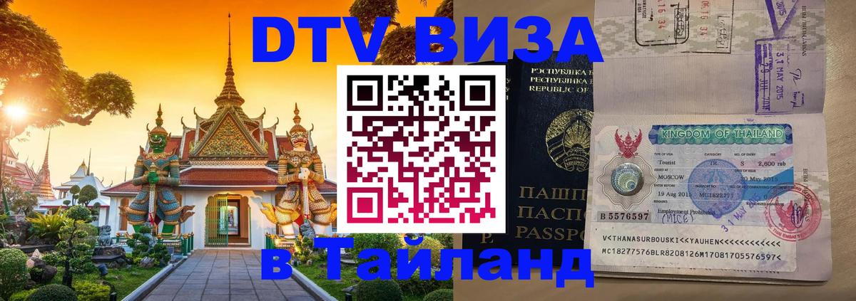 Оформление DTV визы под ключ: стоимость и тарифы, только загранпаспорт - 